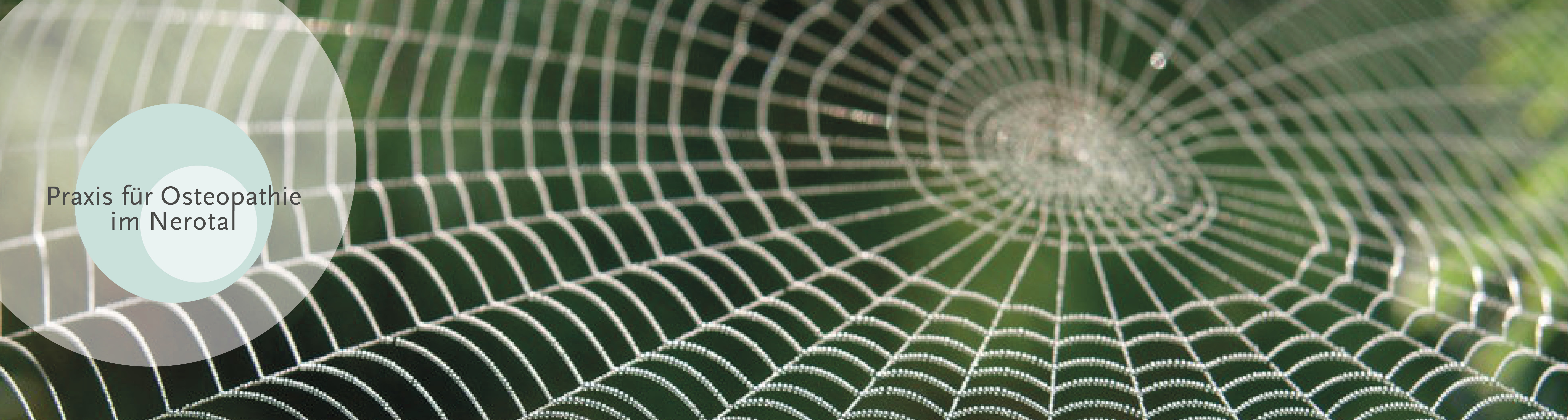 Osteopathie Wiesbaden – die Praxis im Nerotal