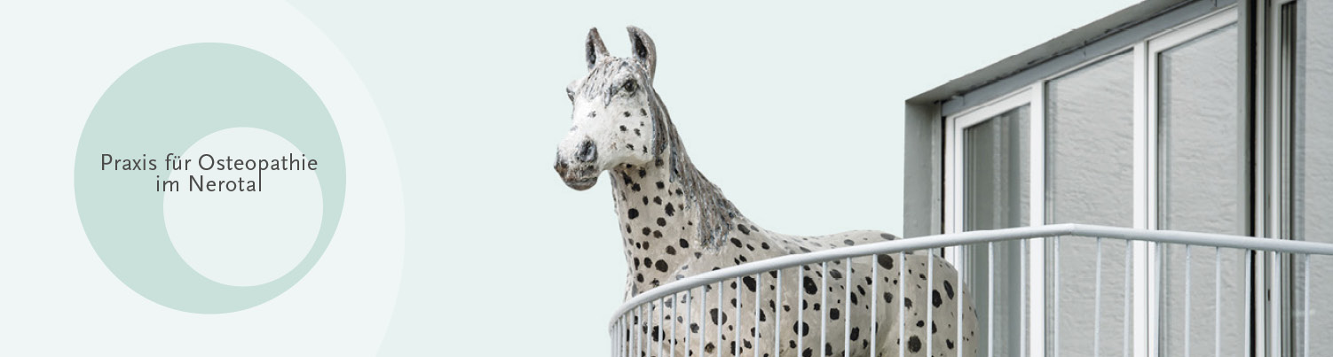 Osteopathie Wiesbaden – die Praxis im Nerotal